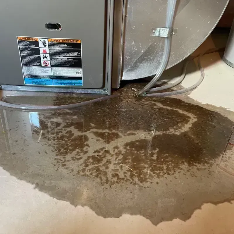 Appliance Leak Cleanup in Timpson, TX